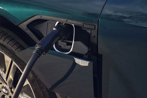 Wiesner of Huntsville in Huntsville TX